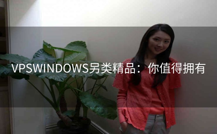 VPSWINDOWS另类精品：你值得拥有