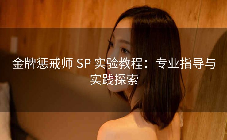 金牌惩戒师 SP 实验教程：专业指导与实践探索