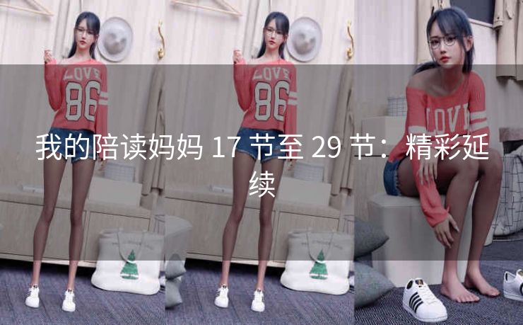 我的陪读妈妈 17 节至 29 节：精彩延续