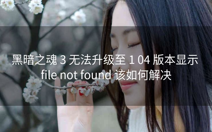 黑暗之魂 3 无法升级至 1 04 版本显示 file not found 该如何解决