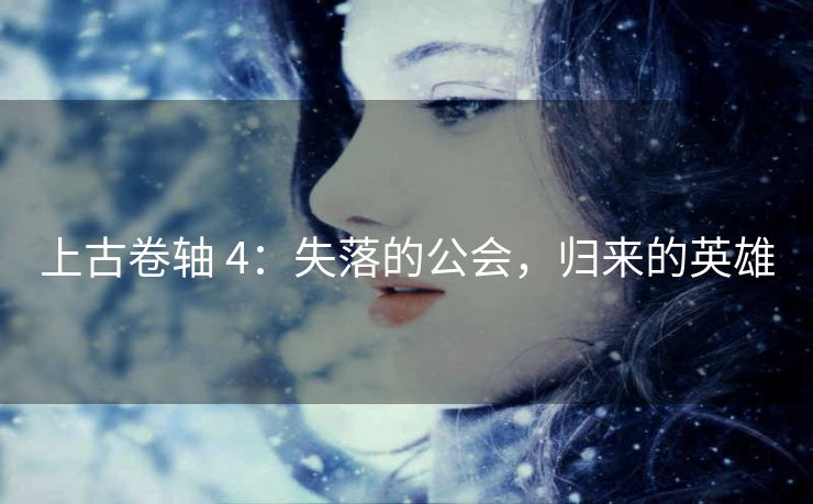 上古卷轴 4：失落的公会，归来的英雄