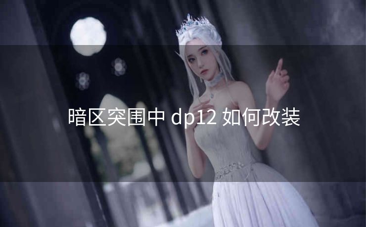 暗区突围中 dp12 如何改装