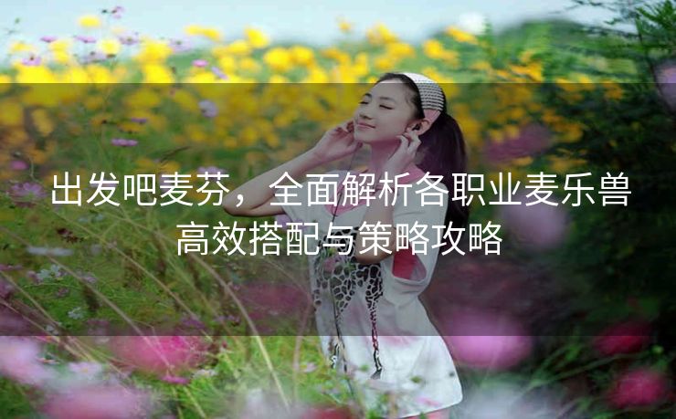 出发吧麦芬，全面解析各职业麦乐兽高效搭配与策略攻略