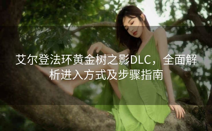 艾尔登法环黄金树之影DLC，全面解析进入方式及步骤指南