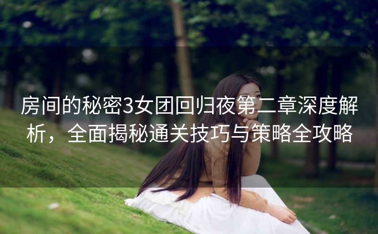 房间的秘密3女团回归夜第二章深度解析，全面揭秘通关技巧与策略全攻略