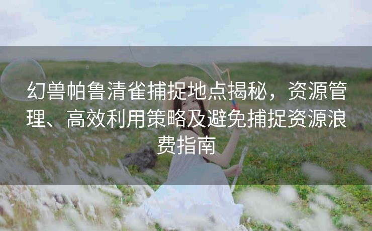 幻兽帕鲁清雀捕捉地点揭秘，资源管理、高效利用策略及避免捕捉资源浪费指南